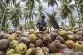 Indonesia pushes agricultural downstreaming to boost farmers&rsquo; income