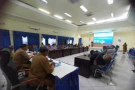 Pemkab Jayapura kembangkan kakao sebagai salah satu komoditas unggulan daerah