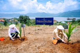 Pemkab Morut ikut tanam kelapa serentak bersama lapas Kolonodale
