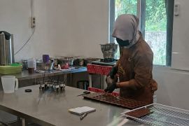 Coklat Sabang produksi 1,8 ton coklat setahun untuk wisatawan