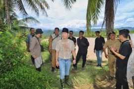 Pemkab Trenggalek-UINSA inisiasi program tambak mangrove