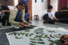 Puluhan klien Bapas Jakbar ikuti pelatihan batik ecoprint