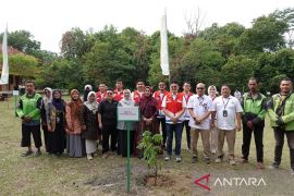 Pertamina Patra Niaga Sumbagut Gandeng Universitas Riau dan Dinas Lingkungan Hidup Kontribusi Dalam Reforestasi Hutan