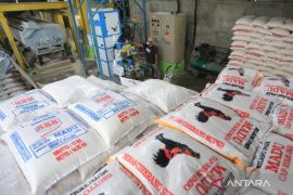 Kemarin, beras impor ilegal hingga layanan terpadu bagi UMKM