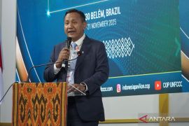 Indonesia, Japan boost cooperation on sustainable mangrove projects