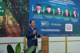 Government enhances opportunities for carbon pricing in Indonesia