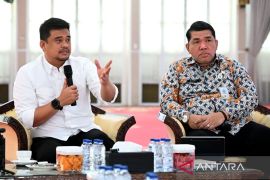 Pemprov Sumut susun strategi  pengembangan kawasan unggulan tiga sektor