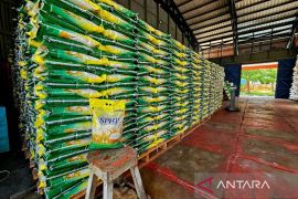 Bulog Natuna pastikan kualitas beras layak konsumsi