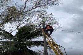 PLN gelorakan semangat pahlawan setelah tangani bahaya kelistrikan di Lampung Timur