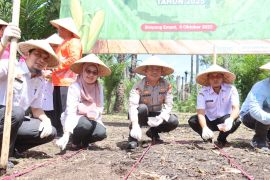 Pemkab Pasaman Barat catat penyaluran pupuk subsidi capai 32.817 ton