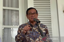 Pram sebut normalisasi Kali Krukut harus dilakukan demi atasi banjir