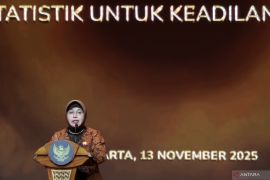 BPS, ministry collaboration boosts accuracy in DTSEN: official