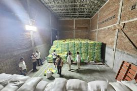 Satgas pangan gerebek gudang beras oplosan di wilayah Lombok Timur