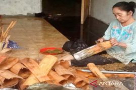 Kemenkum Kalsel optimalkan pengembangan kayu manis Loksado