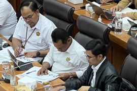 ESDM sebut 14,4 persen pembangkit listrik Indonesia dari energi bersih