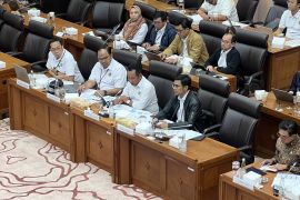 ESDM sebut tambang DLMZ dan Big Gossan Freeport mulai beroperasi