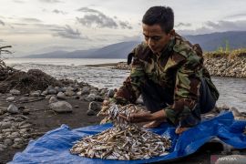 Ikan Bilih Itu Masih Ada Berkat Cara Penangkapan Ramah Lingkungan