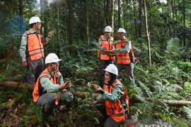 PT Vale: Dari Matano hingga Pomalaa, jejak keberlanjutan yang menyatu dengan Alam dan Manusia