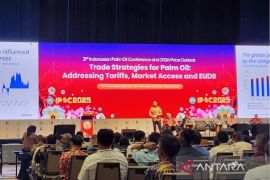 Wamenlu tegaskan standar keberlanjutan sawit harus universal