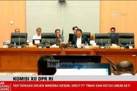 PT Timah minta Komisi XII DPR dukung penguatan tata kelola pertimahan