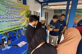 PNM dorong ekonomi hijau lewat TJSL budidaya maggot di Sumenep