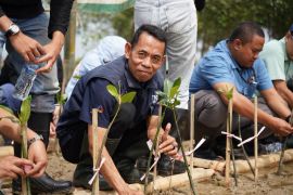 Bio Farma gelar TJSL dengan tanam 5.000 mangrove di Karawang