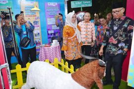 Disparekraf catat potensi perputaran ekonomi Lampung Festival Rp50 miliar