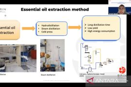 BRIN kembangkan teknologi untuk optimalkan ekstraksi minyak atsiri