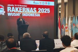 KOI harapkan wushu jadi lumbung emas Indonesia di SEA Games 2025