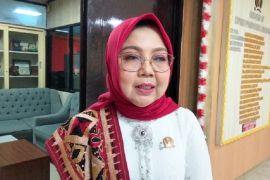 Wakil Ketua DPRD Lampung ajak generasi muda teladani semangat pahlawan