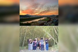 Pertunjukan Spektakuler Burung Gagak di Langit Musim Dingin: Samho Migratory Bird Park, Nam-gu, Ulsan