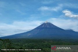 Gunung Semeru kembali erupsi dengan tinggi letusan 800 meter