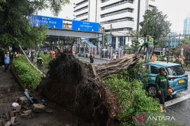 Legislator minta Pemprov DKI antisipasi bencana selama cuaca ekstrem