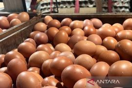 Harga pangan Sabtu ini, cabai rawit Rp42.700 per kg dan telur ayam Rp31.450 per kg