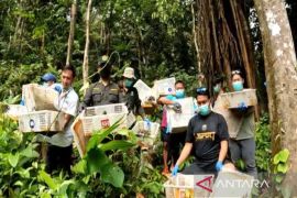 Hasil sitaan penyelundupan di Bakauheni, 458 burung dilepasliarkan ke Gunung Rajabasa Lampung