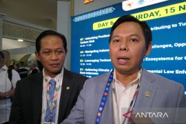 Indonesia cites legislative, policy moves to advance climate action