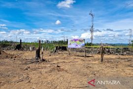 Kemenhut amankan 2.390 ha areal perambahan hutan di Lanskap Seblat
