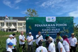 Kado Hijau Milad Muhammadiyah 113, MLH luncurkan "Green Mining Watch