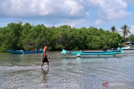 Daerah kepulauan berjuang keras menghadapi dampak perubahan iklim