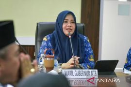 Dua kabupaten di NTB masuk zona merah stunting