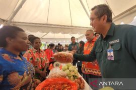 BI Papua mendorong 22.730 petani milenial terapkan teknologi smart farming