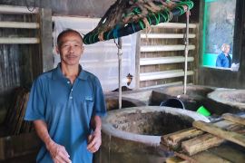 Swasembada pangan hadapi tantangan, banyak petani enggan tanam kedelai di lahan pertanian