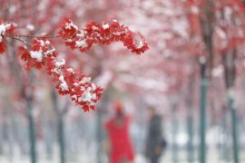 Kawasan wisata es dan salju dibuka di China