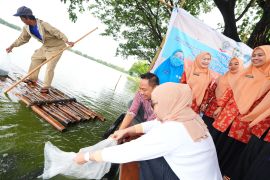 DWP menebar 50 ribu benih ikan tingkatkan pendapatan warga Sulsel