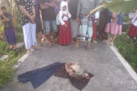 Terpopuler: Pengerjaan jalan di NTB dipercepat, KUA-PPAS APBD NTB 2026, harga emas naik hingga orok bayi dibuang di Lotim