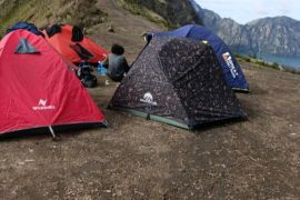 PNPB dari Gunung Rinjani mencapai Rp21 miliar