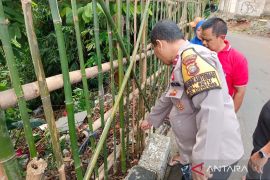 Polisi selidiki pelaku pembuangan bayi dalam kardus di Cipayung Jaktim