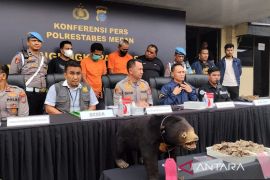 Polrestabes Medan buru pelaku penjual offset beruang madu