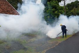 PT Timah gencarkan Gerakan PHBS - Fogging cegah DBD