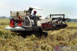 Kementan uji B50 pada alsintan dorong kemandirian energi